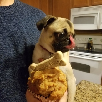 Lily enjoyed her pupcakes for her birthday♥